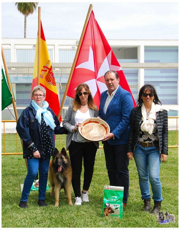 Mil Amores du bois du tot. BIS